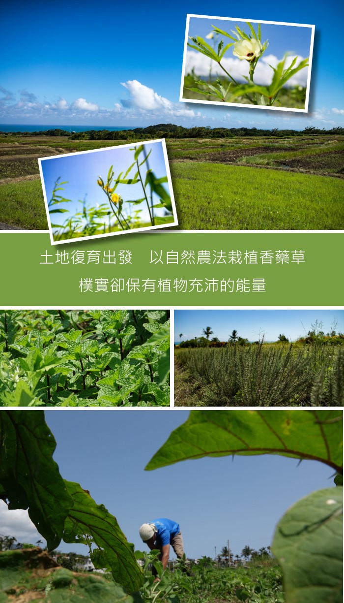 璞草園-細潤護手霜30ml產品資訊