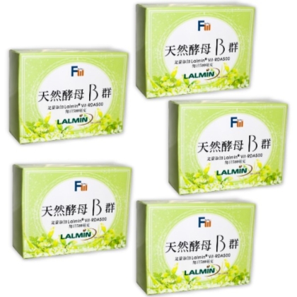 美好壯-天然酵母B群5盒組