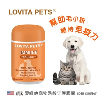 LOVITA PETS愛維他-寵物熟齡守護膠囊(60顆_30天份)