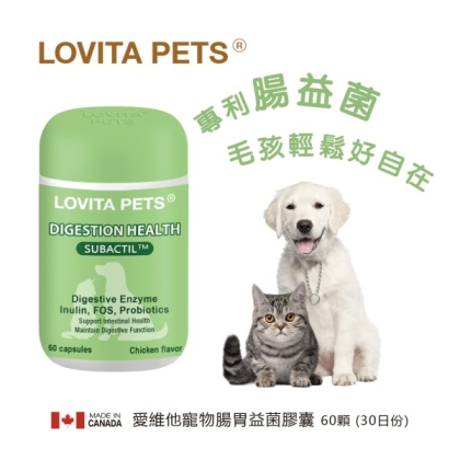 LOVITA PETS愛維他-寵物腸胃益菌膠囊 (60顆_30天份)
