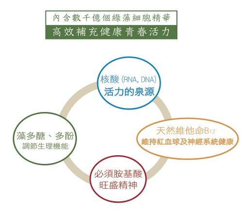 極品綠寶藻精王滋補飲6罐入產品資訊